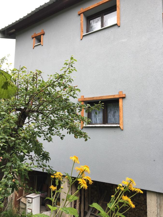 Yeti Guest House Mavrovo Bagian luar foto