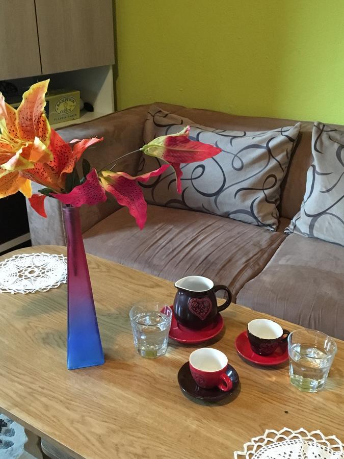 Yeti Guest House Mavrovo Bagian luar foto